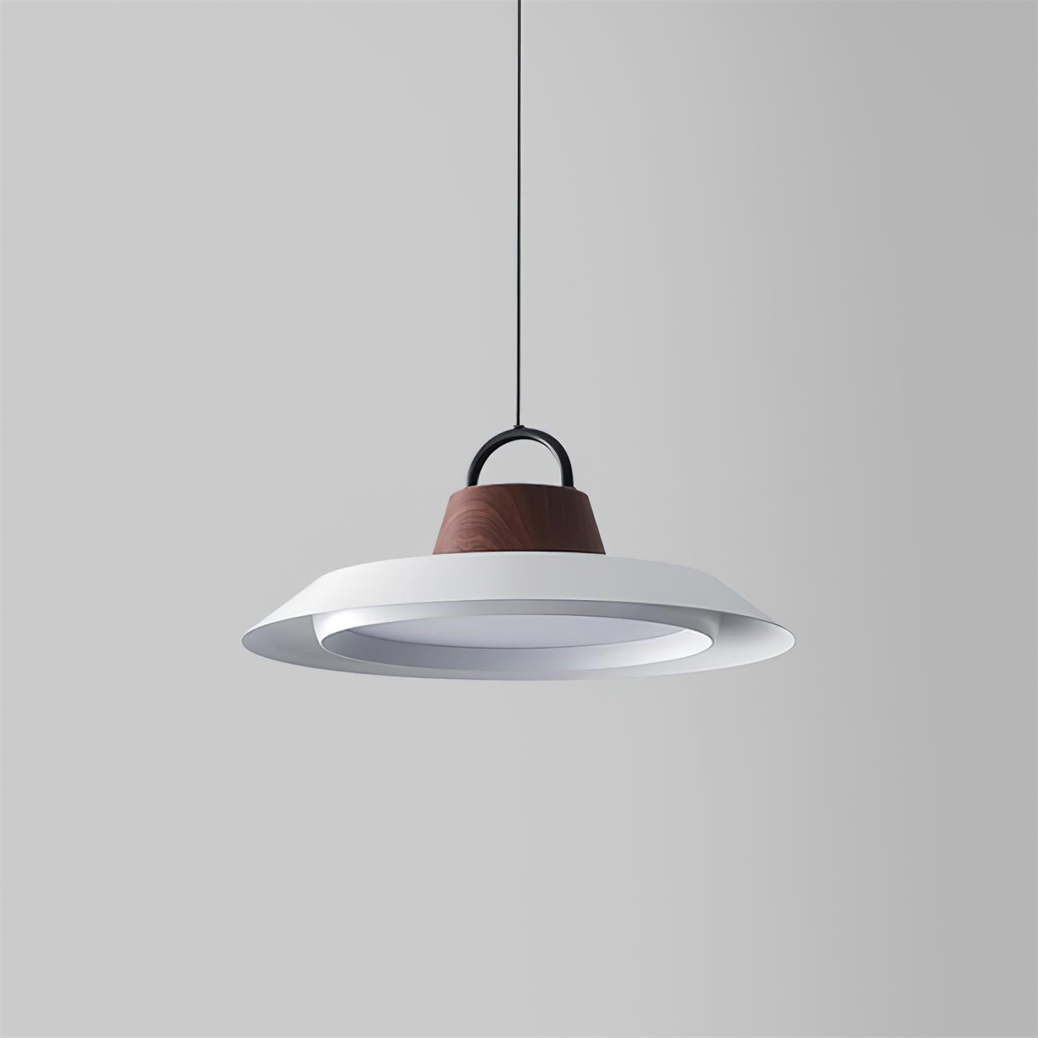 Ruilifo Hanglamp