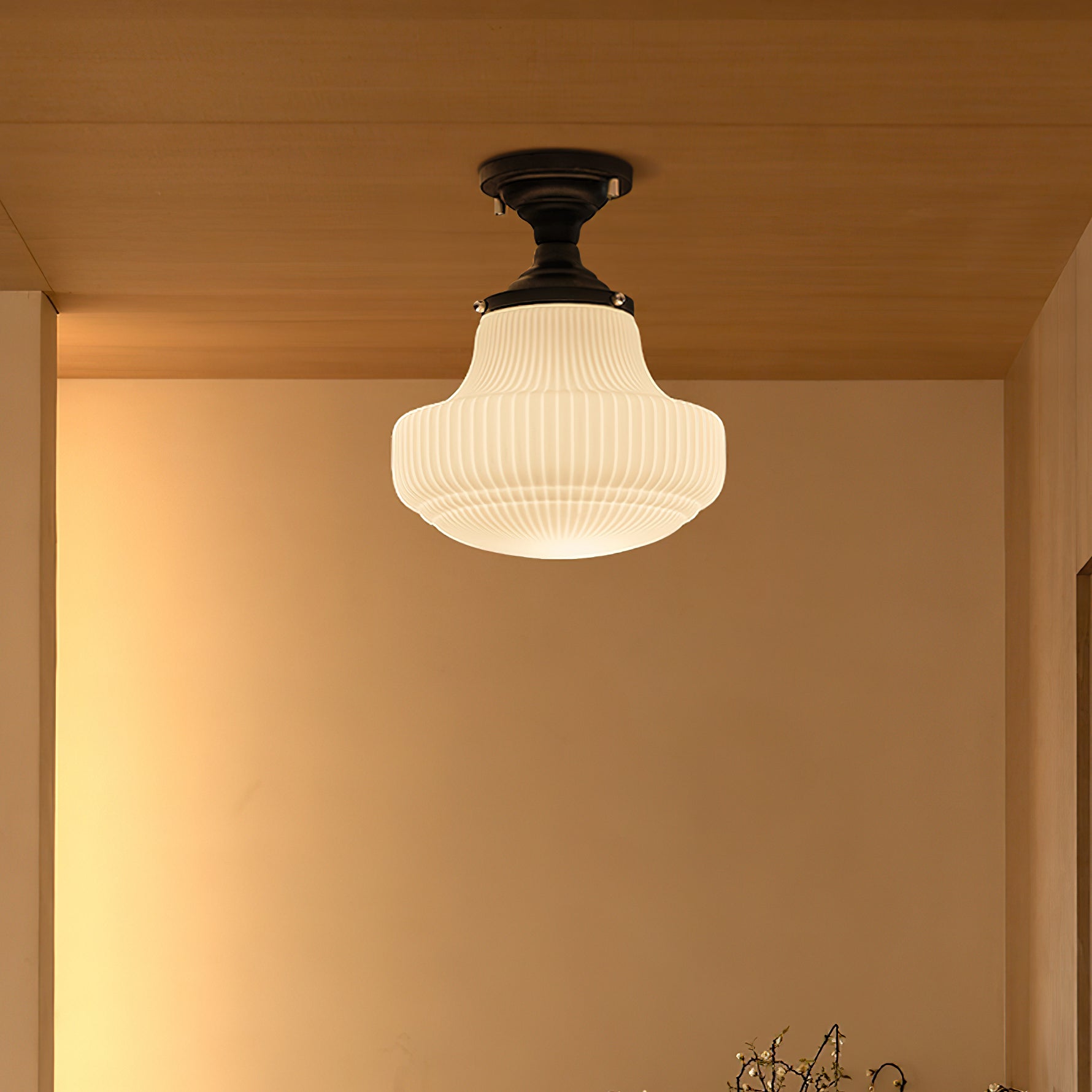 Hemno Plafondlamp