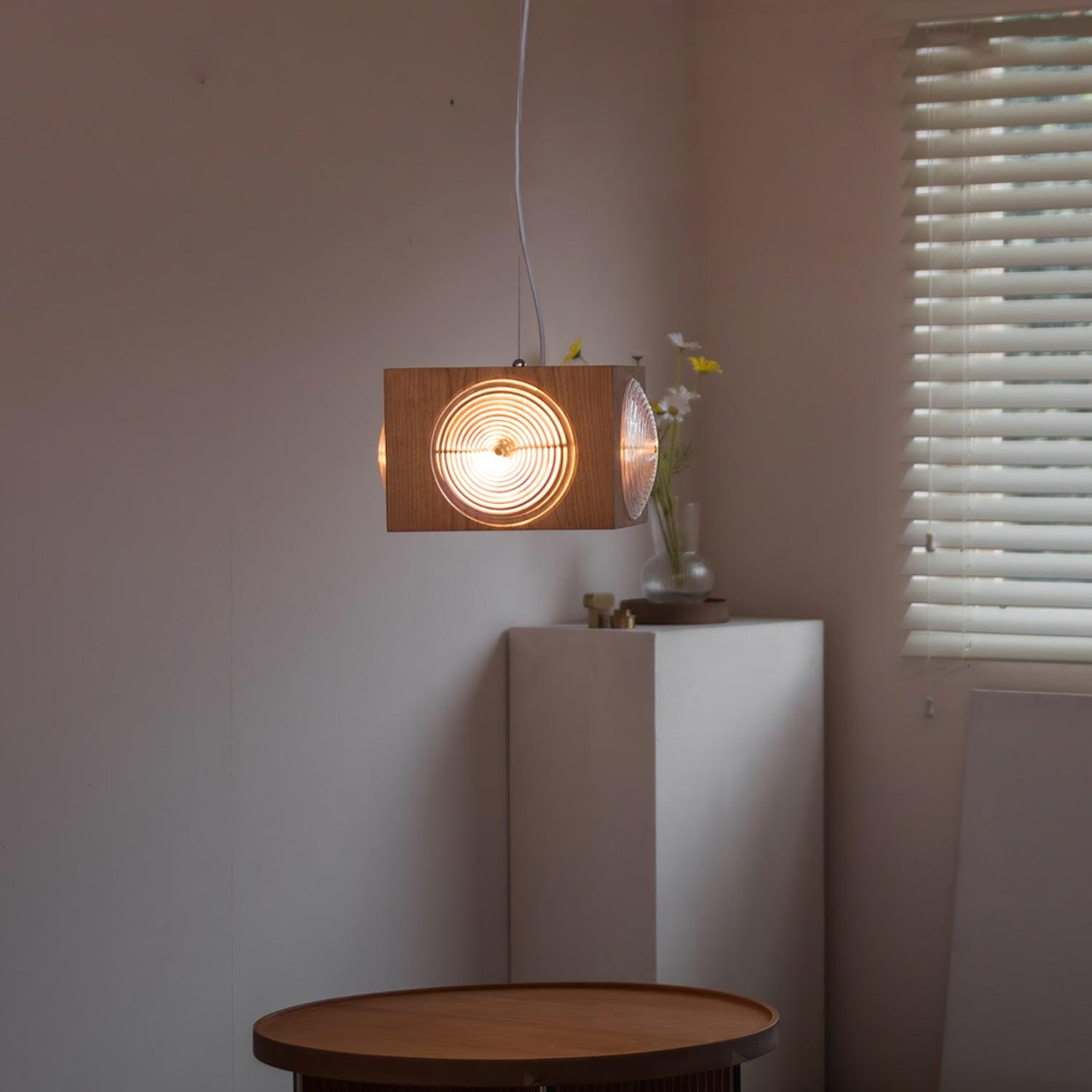Houten Vintage Camera  Hanglamp