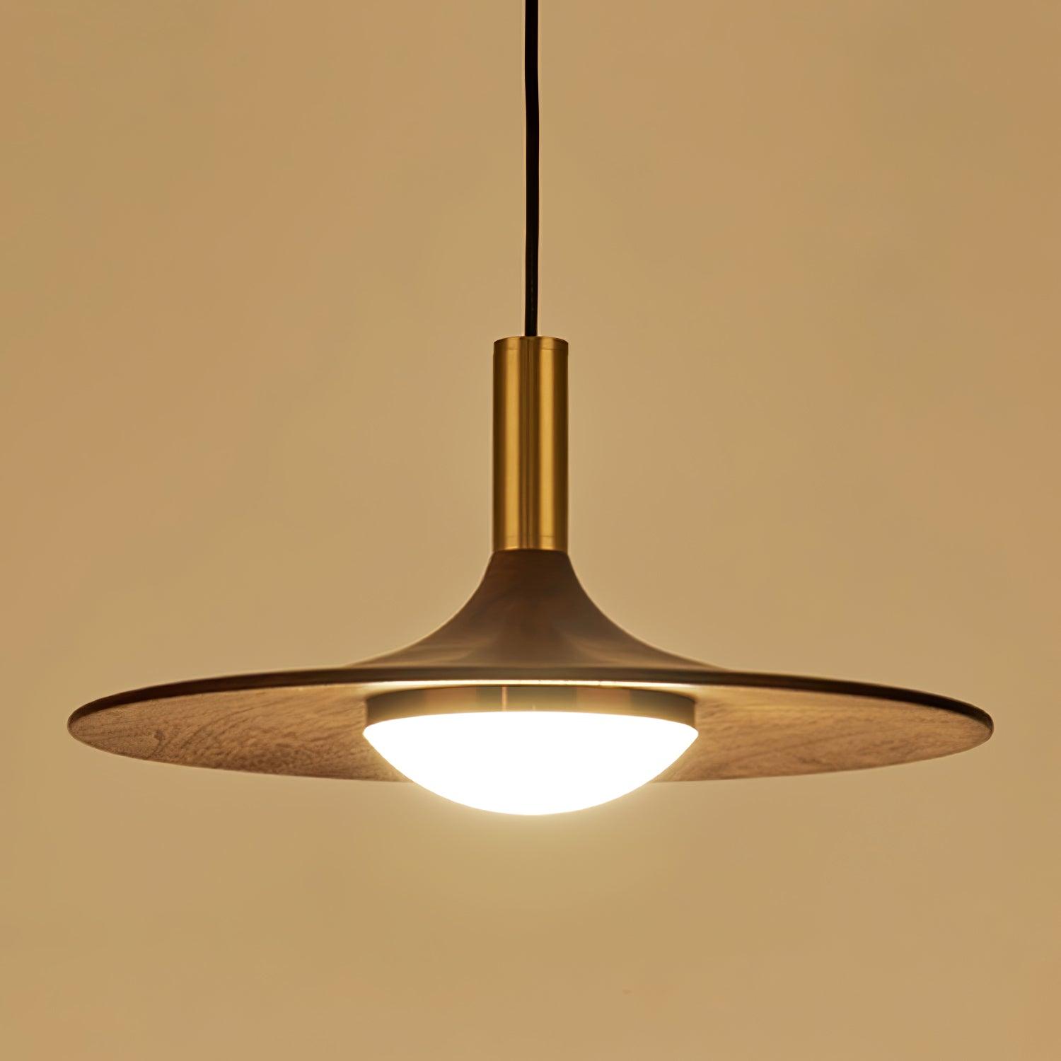 Dewuso Hanglamp