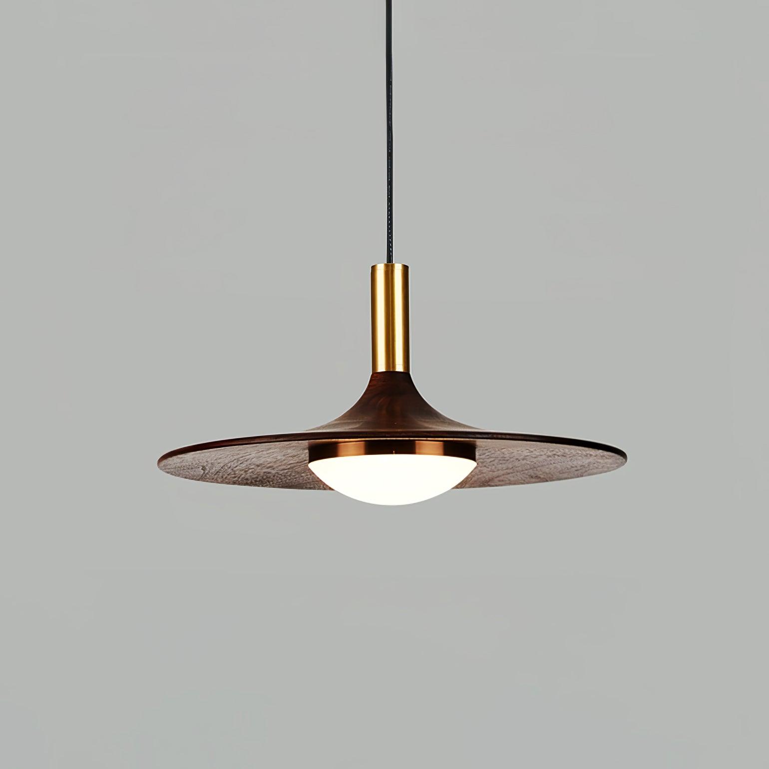 Dewuso Hanglamp